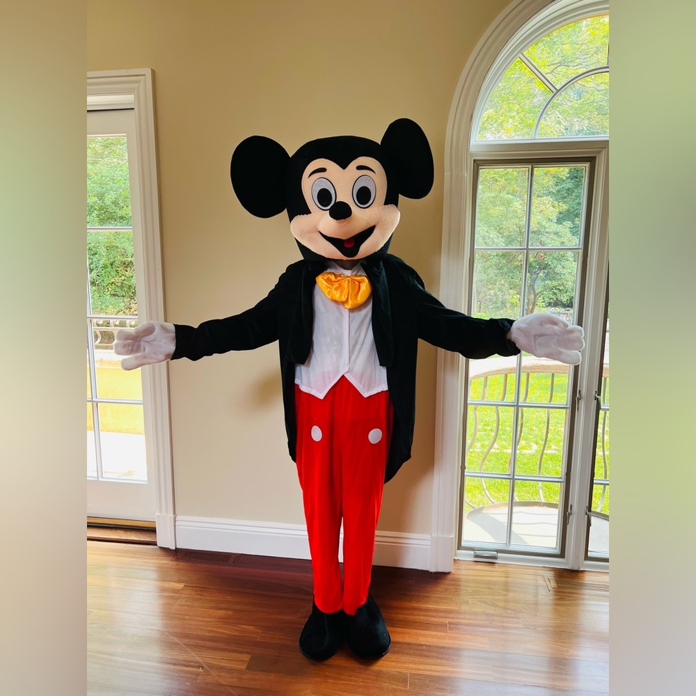 mascot costumes for sale